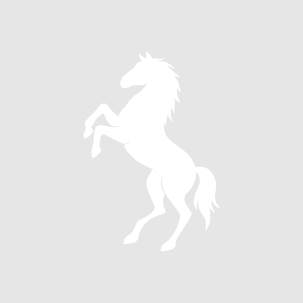 Horse Charm