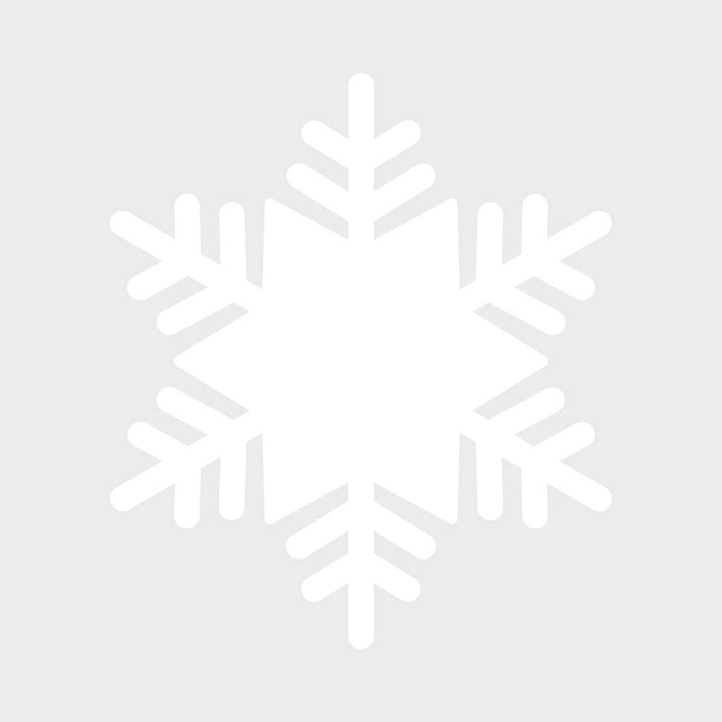 Snowflake Charm