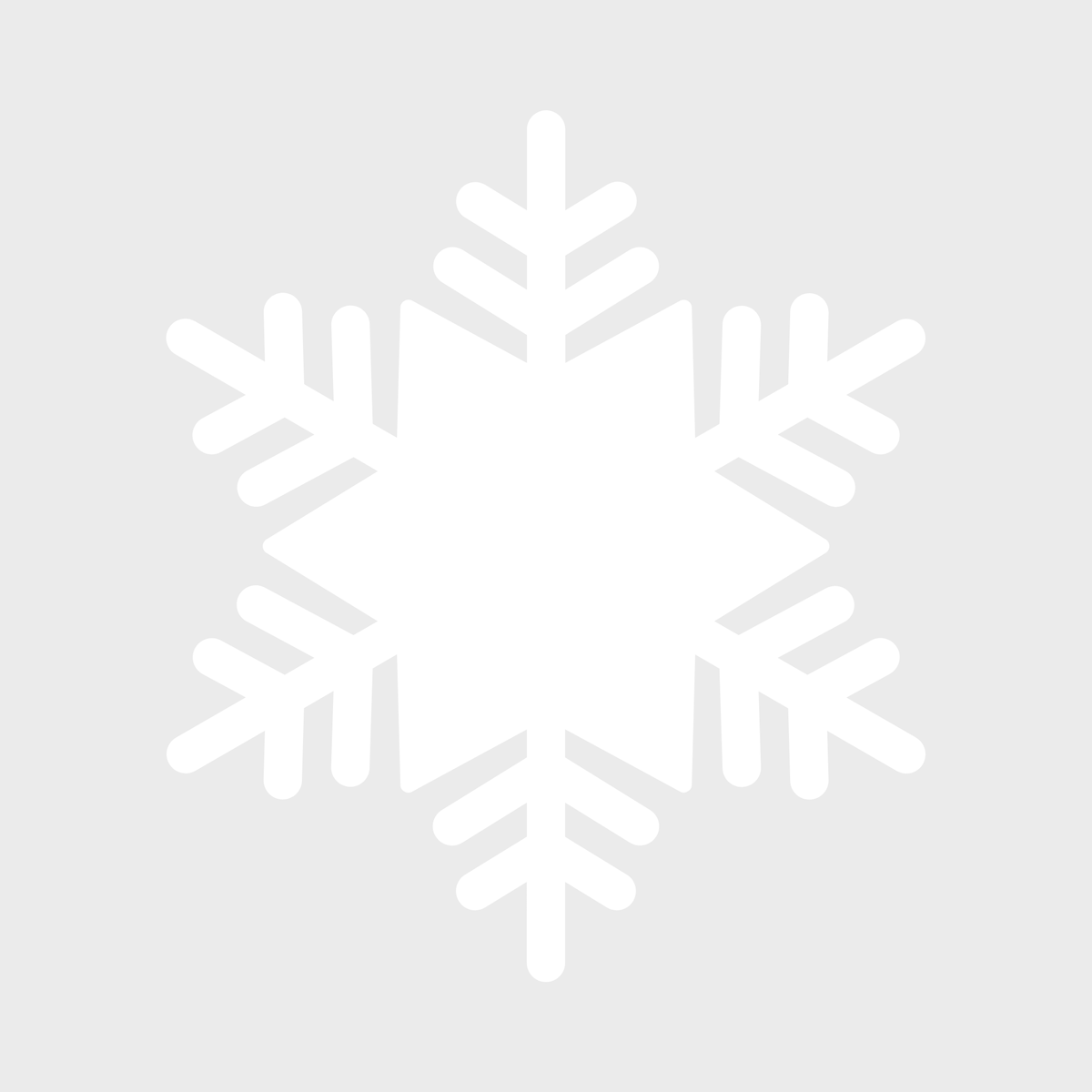 Snowflake Charm