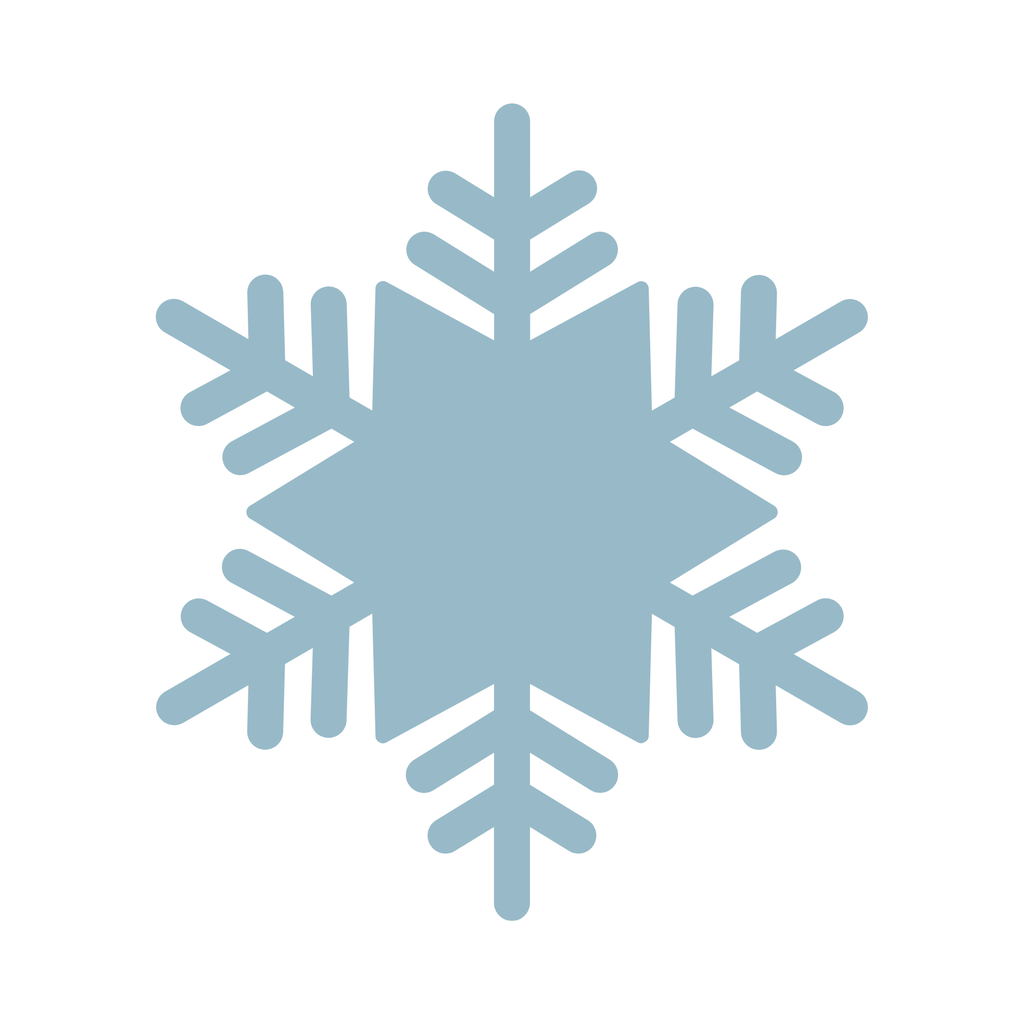 Snowflake Charm
