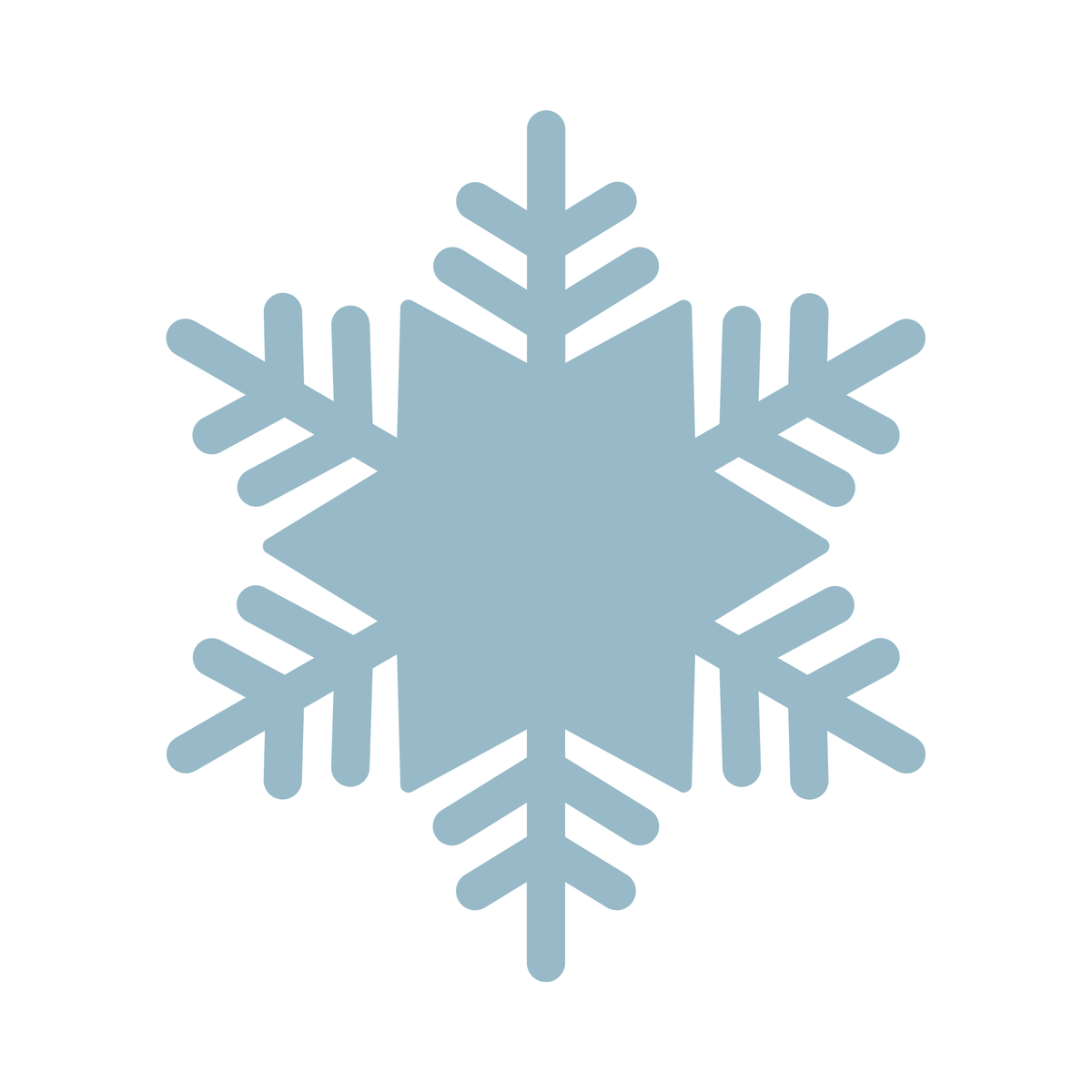 Snowflake Charm